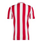 Günstige Fußballtrikots Olympiakos 100th Anniversary 2024-25 Kurzarm